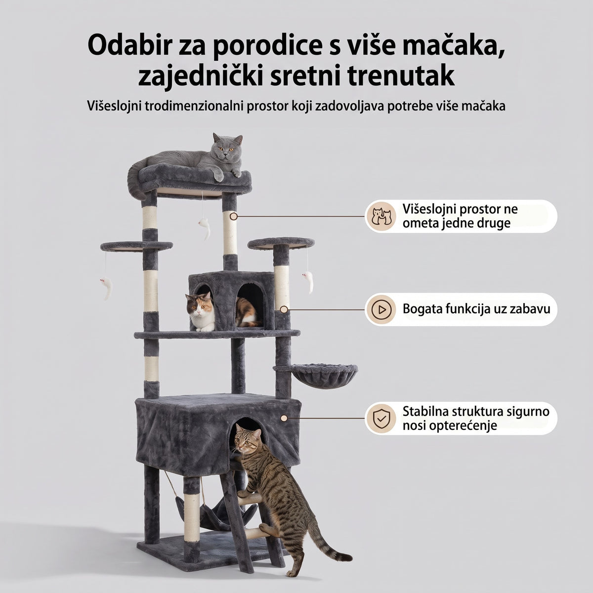 Grebalica za mačke Citadela
