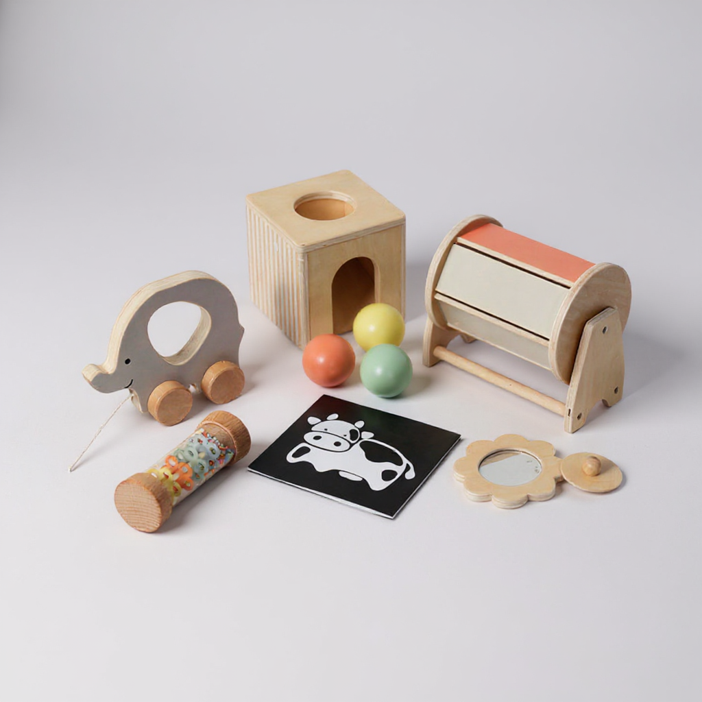 MONTESSORI SET IGRAČAKA ZA BEBE
